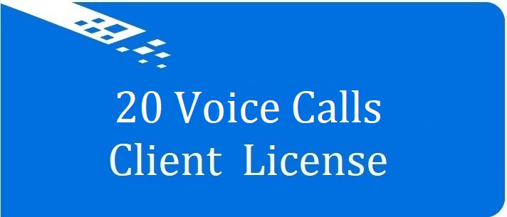 Лицензия на 20 голосовых вызовов Vinteo VI-S006